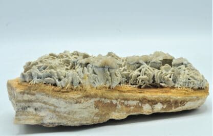 Barytine (Baryte), Les Loges, Voltennes, Saône-et-Loire, Morvan.