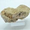Barytine (Baryte), Buxières-les-Mines, Allier, Auvergne.