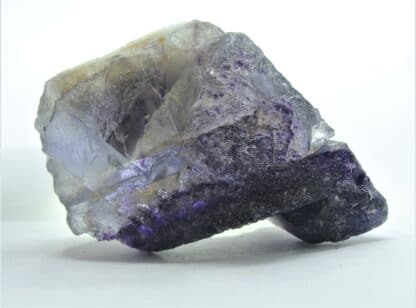 Fluorite bicolore, carrière du Boltry, Seilles, Belgique.