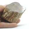 Tranche de bois fossilisé en agate poli, La Calamine, Belgique.