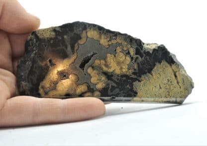 Schalenblende, mine de Schmalgraf, Lontzen, Moresnet, Belgique.