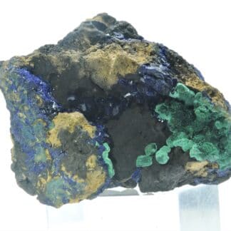 Chessylite (Azurite) et Malachite, Collection du XIXème, Mines de Chessy, Rhône.