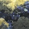 Chessylite (Azurite) et Malachite, Collection du XIXème, Mines de Chessy, Rhône.
