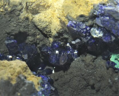 Chessylite (Azurite) et Malachite, Collection du XIXème, Mines de Chessy, Rhône.