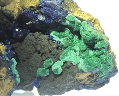 Chessylite (Azurite) et Malachite, Collection du XIXème, Mines de Chessy, Rhône.