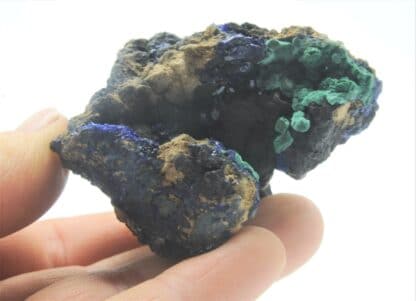 Chessylite (Azurite) et Malachite, Collection du XIXème, Mines de Chessy, Rhône.