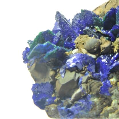 Chessylite (Azurite) et Malachite, Collection du XIXème, Mines de Chessy, Rhône.