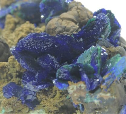 Chessylite (Azurite) et Malachite, Collection du XIXème, Mines de Chessy, Rhône.