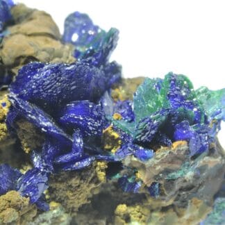 Chessylite (Azurite) et Malachite, Collection du XIXème, Mines de Chessy, Rhône.