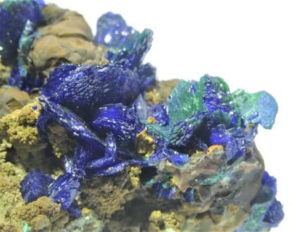 Chessylite (Azurite) et Malachite, Collection du XIXème, Mines de Chessy, Rhône.