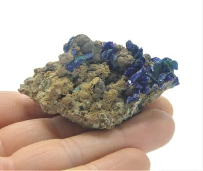 Chessylite (Azurite) et Malachite, Collection du XIXème, Mines de Chessy, Rhône.