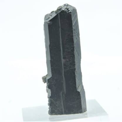 Blende (Sphalérite) maclée et Pyrite, Dalnegorsk, Sibérie, Russie.