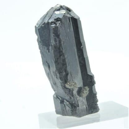 Blende (Sphalérite) maclée et Pyrite, Dalnegorsk, Sibérie, Russie.