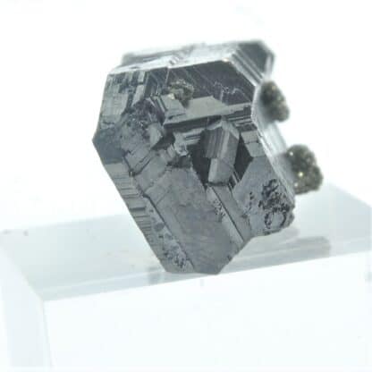 Blende (Sphalérite) maclée et Pyrite, Dalnegorsk, Sibérie, Russie.