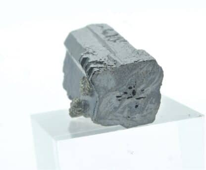 Blende (Sphalérite) maclée et Pyrite, Dalnegorsk, Sibérie, Russie.