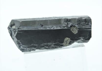 Blende (Sphalérite) maclée et Pyrite, Dalnegorsk, Sibérie, Russie.