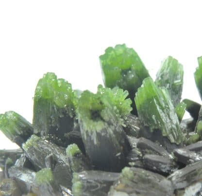 Pyromorphite, Les Farges, Ussel, Corrèze, Limousin.