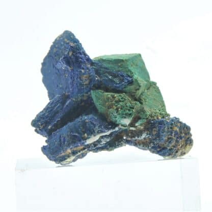 Pseudomorphose de Cuprite en Malachite, sur Azurite (Chessylite), Chessy, Rhône.