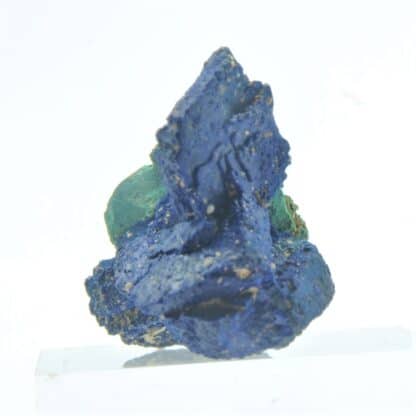 Pseudomorphose de Cuprite en Malachite, sur Azurite (Chessylite), Chessy, Rhône.