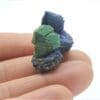 Pseudomorphose de Cuprite en Malachite, sur Azurite (Chessylite), Chessy, Rhône.