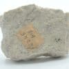 Chalcolite (Torbernite) et Psilomélane sur Granulite, Montebras, Creuse.
