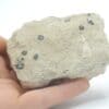 Chalcolite (Torbernite) et Psilomélane sur Granulite, Montebras, Creuse.