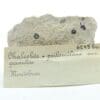 Chalcolite (Torbernite) et Psilomélane sur Granulite, Montebras, Creuse.