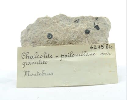 Chalcolite (Torbernite) et Psilomélane sur Granulite, Montebras, Creuse.