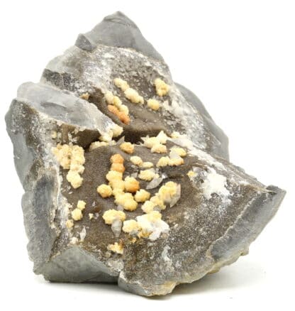 Dolomite et Calcite de septaria, Orpierre, Hautes-Alpes.