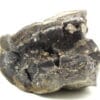 Quartz fumé dans septaria, Orpierre, Hautes-Alpes.