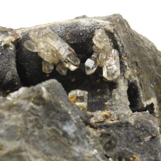 Quartz fumé dans septaria, Orpierre, Hautes-Alpes.