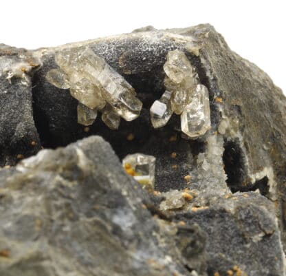 Quartz fumé dans septaria, Orpierre, Hautes-Alpes.