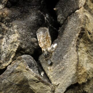 Quartz sceptre dans septaria, Orpierre, Hautes-Alpes.