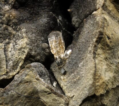 Quartz sceptre dans septaria, Orpierre, Hautes-Alpes.