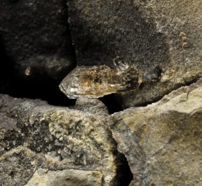 Quartz sceptre dans septaria, Orpierre, Hautes-Alpes.