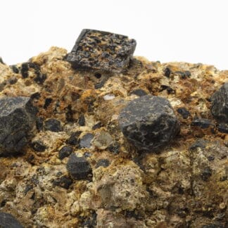 Augite (minéral)