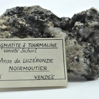 Pegmatite à Tourmaline, Anse de Luzéronde, Noirmoutier, Vendée.