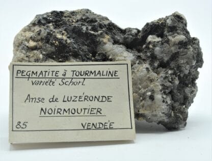 Pegmatite à Tourmaline, Anse de Luzéronde, Noirmoutier, Vendée.