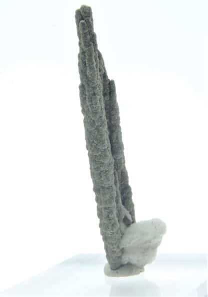 Stalactite de Pyrite et Baryte, Les Cèdres, Mine des Malines, Gard.