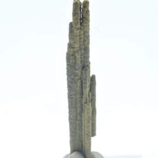 Stalactite de Pyrite, Les Cèdres, Mine des Malines, St-Laurent-le-Minier, Gard.