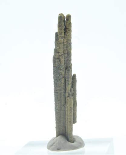 Stalactite de Pyrite, Les Cèdres, Mine des Malines, St-Laurent-le-Minier, Gard.