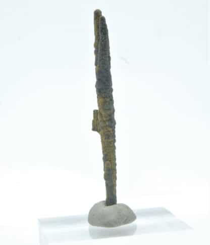 Stalactite de Pyrite, Mine des Malines, St-Laurent-le-Minier, Gard.