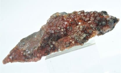 Rhodochrosite, Moanda, Haut-Ogooué, Gabon.