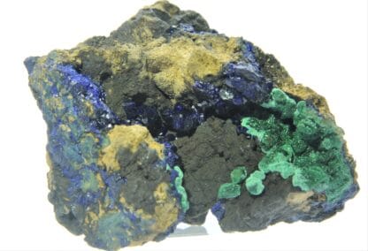 Chessylite (Azurite) et Malachite, Collection du XIXème, Mines de Chessy, Rhône.