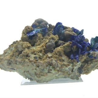 Chessylite (Azurite) et Malachite, Collection du XIXème, Mines de Chessy, Rhône.