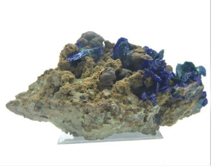 Chessylite (Azurite) et Malachite, Collection du XIXème, Mines de Chessy, Rhône.