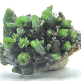 Pyromorphite, Les Farges, Ussel, Corrèze, Limousin.