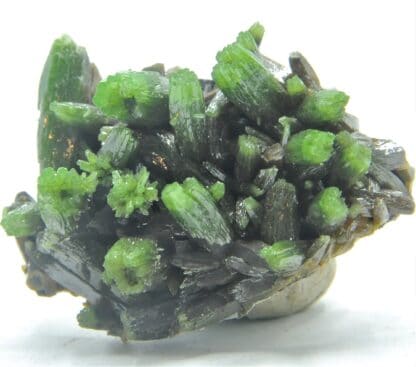 Pyromorphite, Les Farges, Ussel, Corrèze, Limousin.