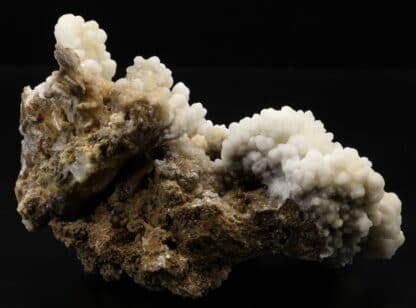 Aragonite blanche, Millau, Aveyron, Occitanie.