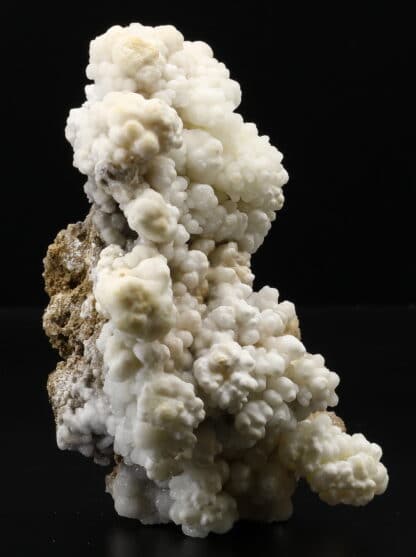 Aragonite blanche, Millau, Aveyron, Occitanie.